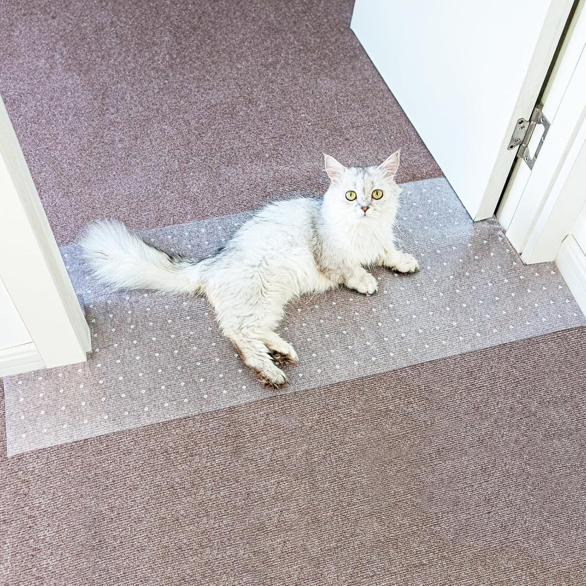 Oroonoko protège-tapis face avant transparente, protège tapis visible et discret