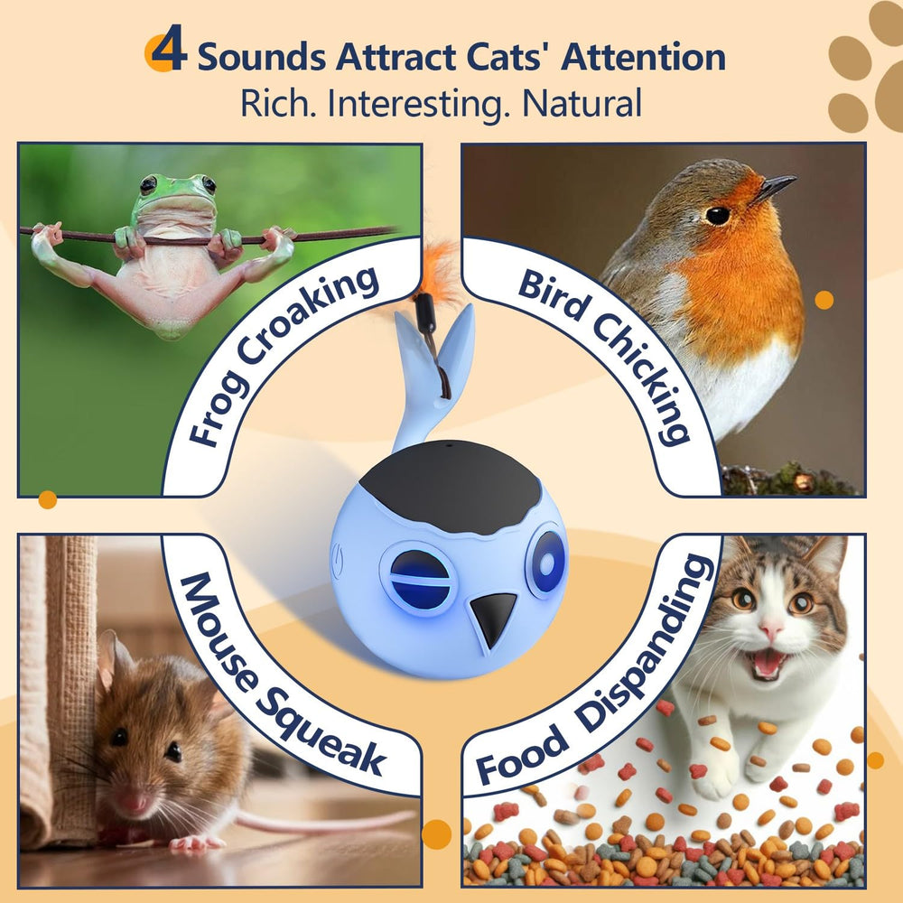 ORSDA boule en jeu avec chat montrant engagement actif et exercice