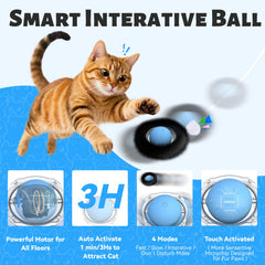 ORSDA chat qui joue sur le tapis interactif pour exercice mental et physique