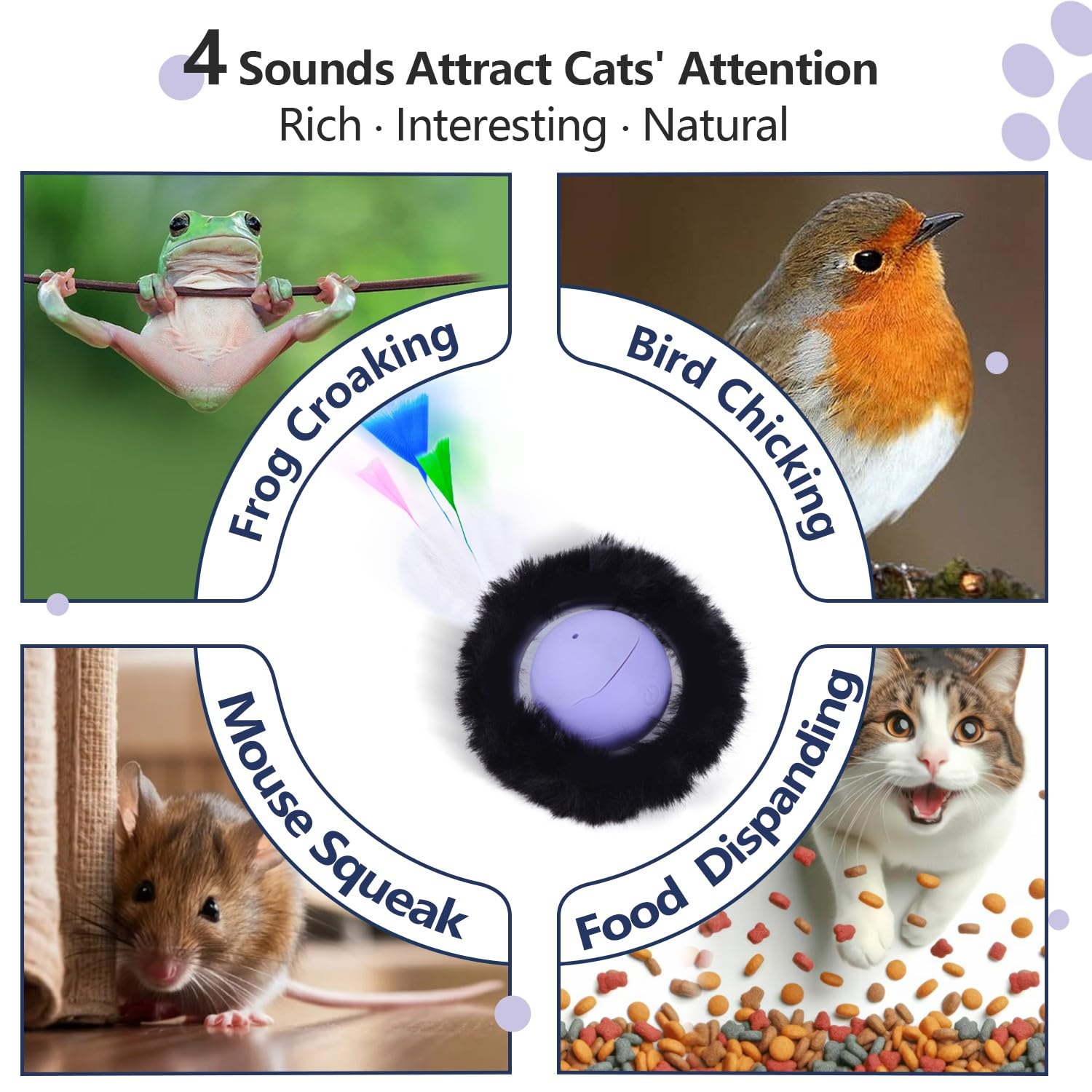 ORSDA jouet en situation salon avec chat actif montrant amusement et sécurité