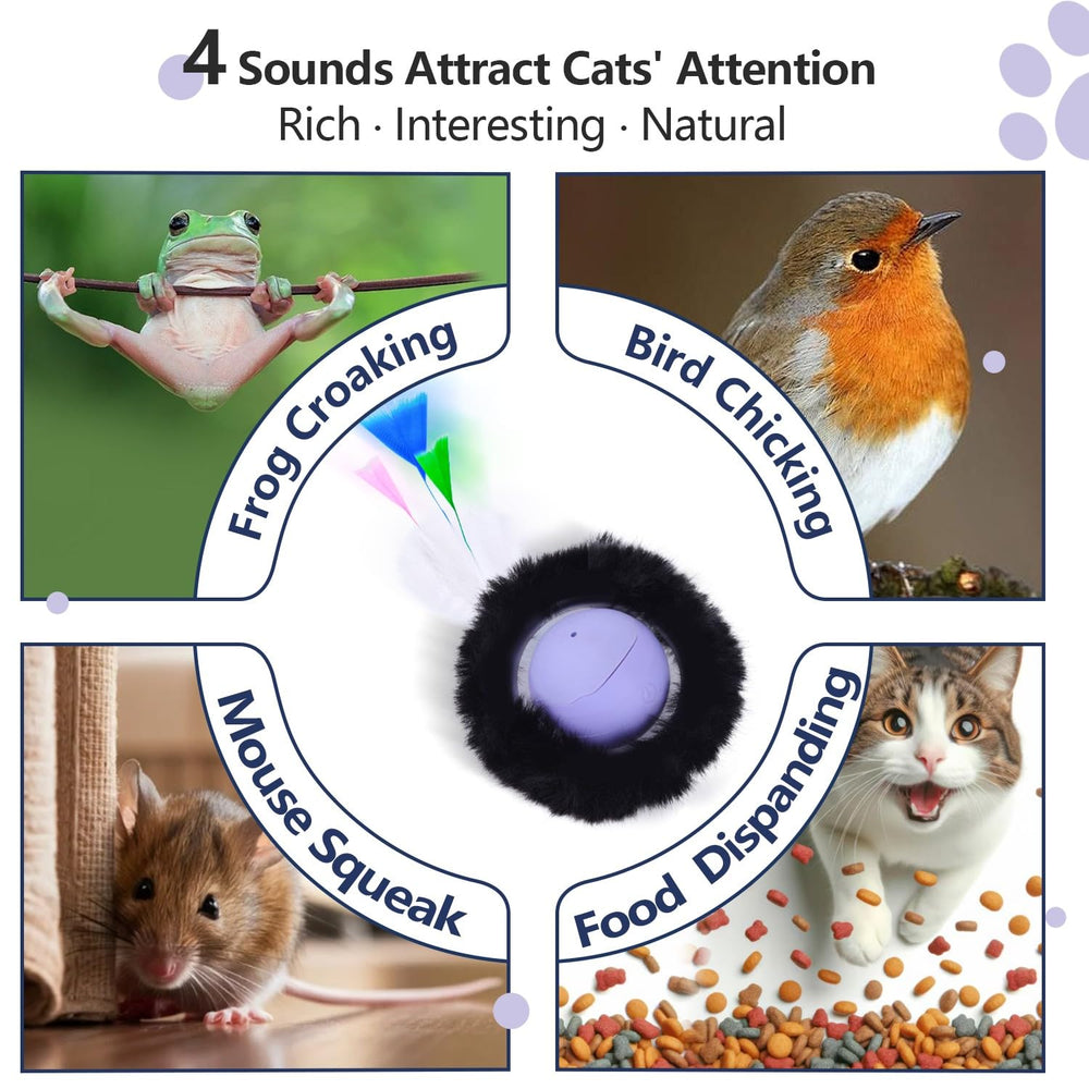 ORSDA jouet en situation salon avec chat actif montrant amusement et sécurité