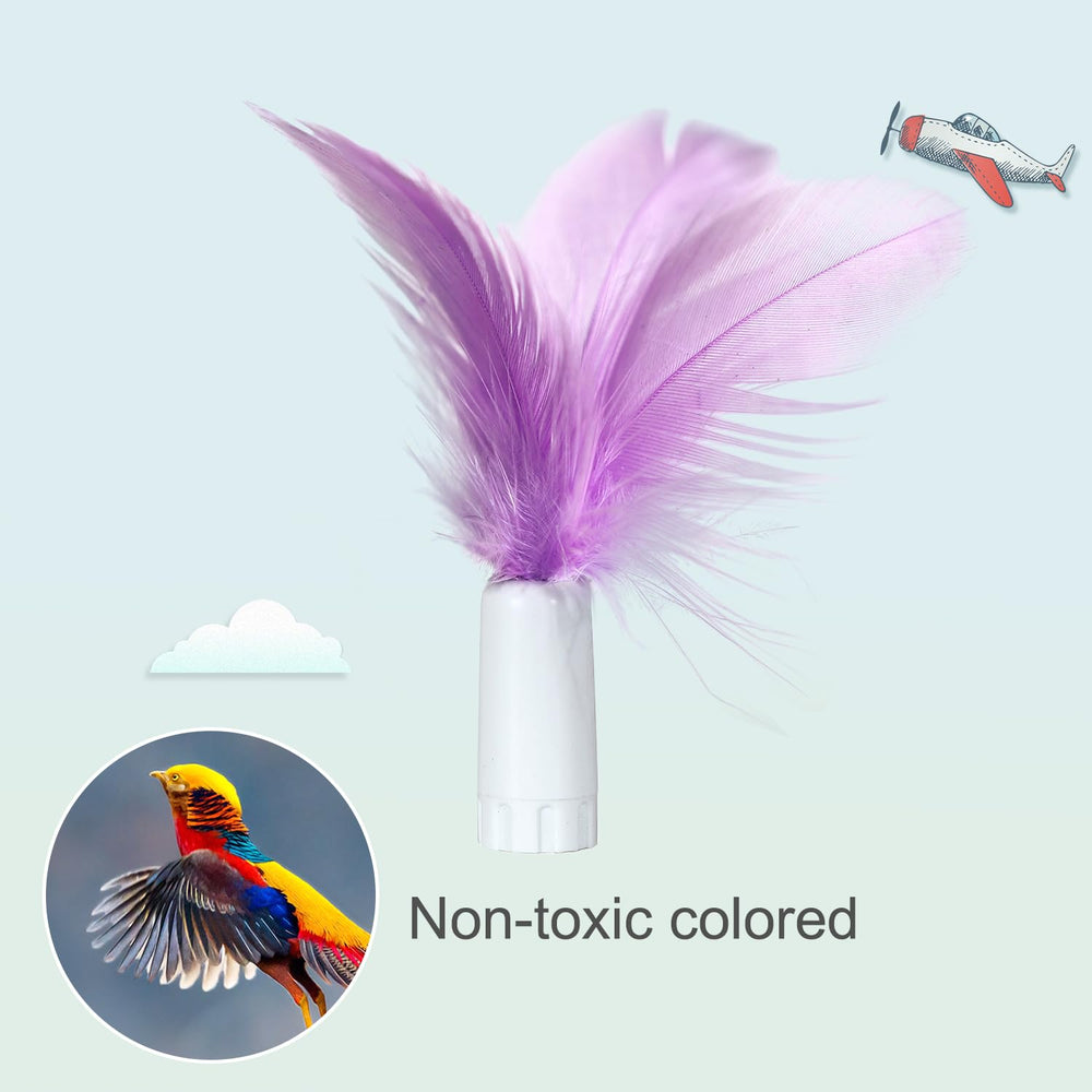 ORSDA plumes multicolores exposées pour stimuler la chasse visuelle