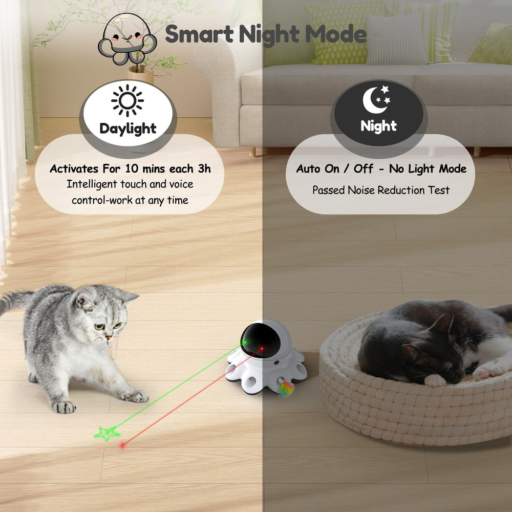ORSDA scène de vie dans salon chat joue augmentant activité intérieure