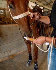ORTHO EQUINE seringue gros plan soulignant l'embout ergonomique et facilité d'administration