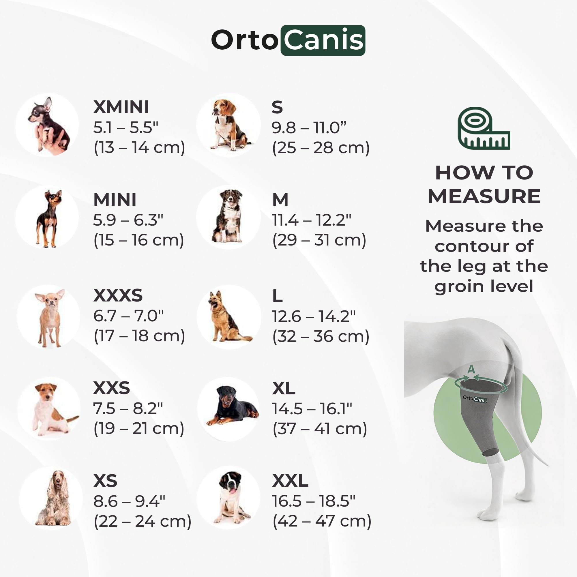 Ortocanis attelle taille M mesurée sur patte pour ajustement sûr
