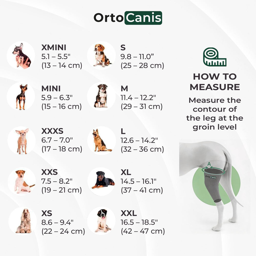 Ortocanis attelle taille M mesurée sur patte pour ajustement sûr