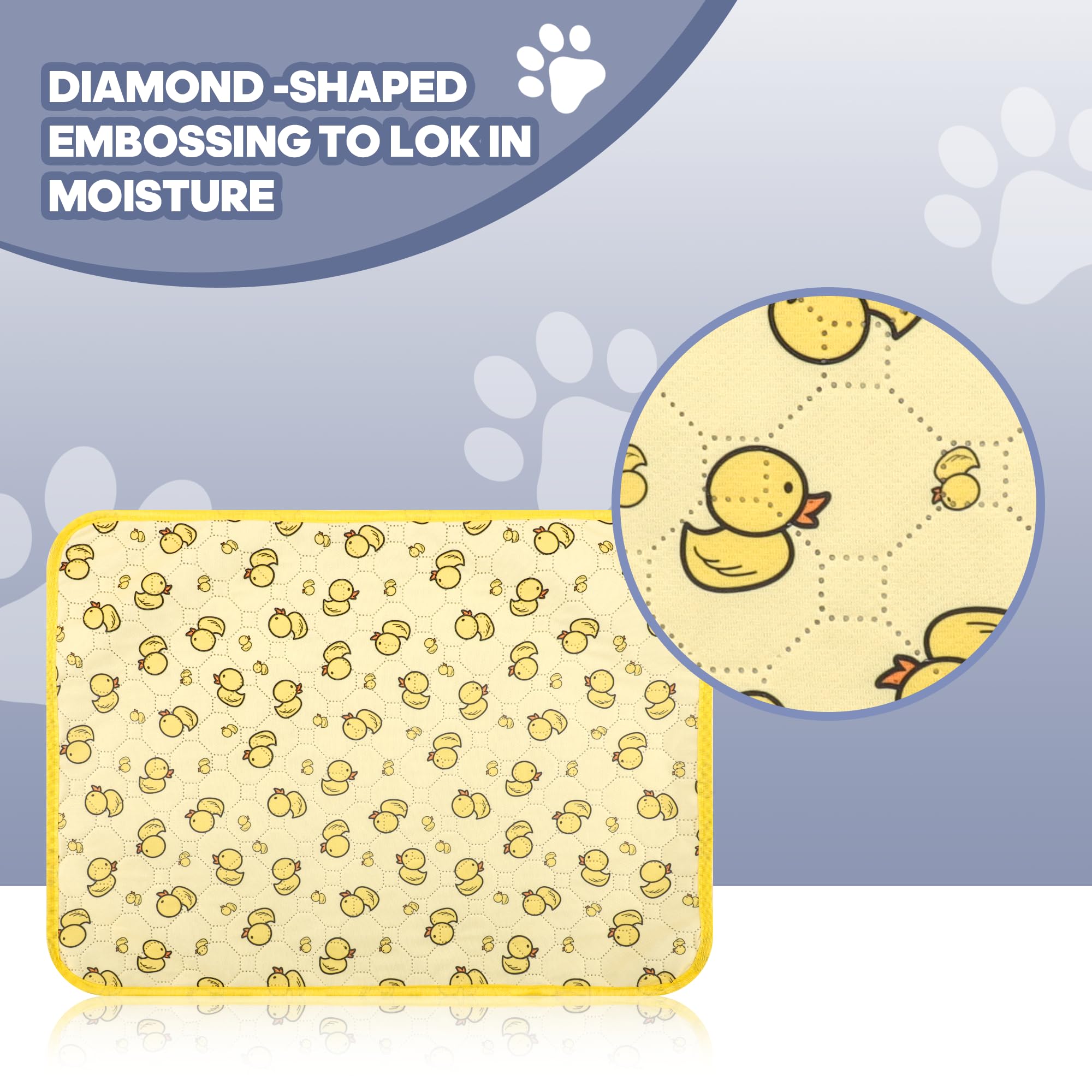 Oslianbok comparaison taille avec main montre dimensions pratiques pour petits chiens