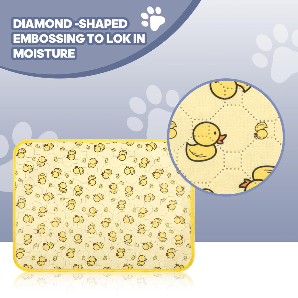 Oslianbok comparaison taille avec main montre dimensions pratiques pour petits chiens