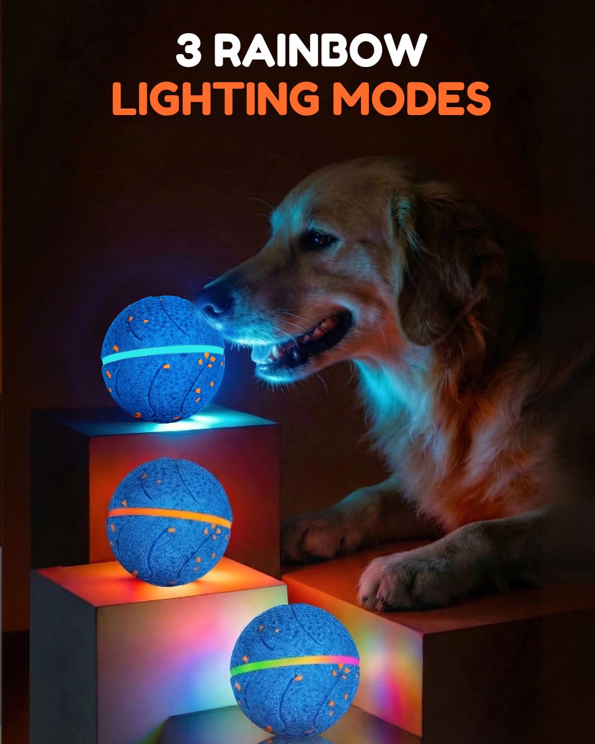 osou balle en action sur sol intérieur stimulant course du chien