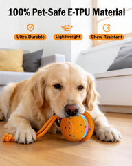 osou chien jouant avec la balle dans un salon encourage activité physique