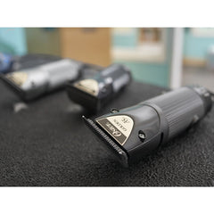 Oster Golden A5 boîtier résistant détail soulignant protection anti-morsures