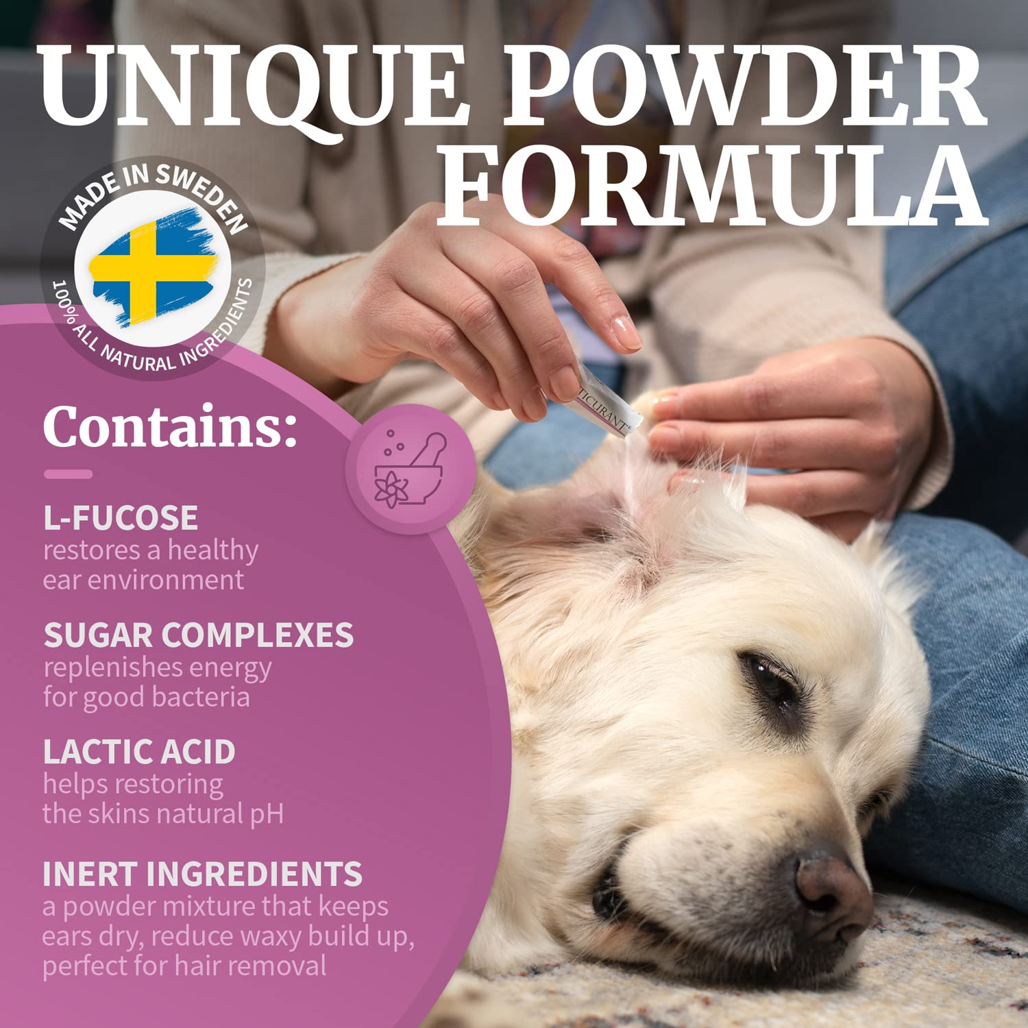 OTICURANT avec chien dans salon, maintien de l'hygiène auriculaire à domicile