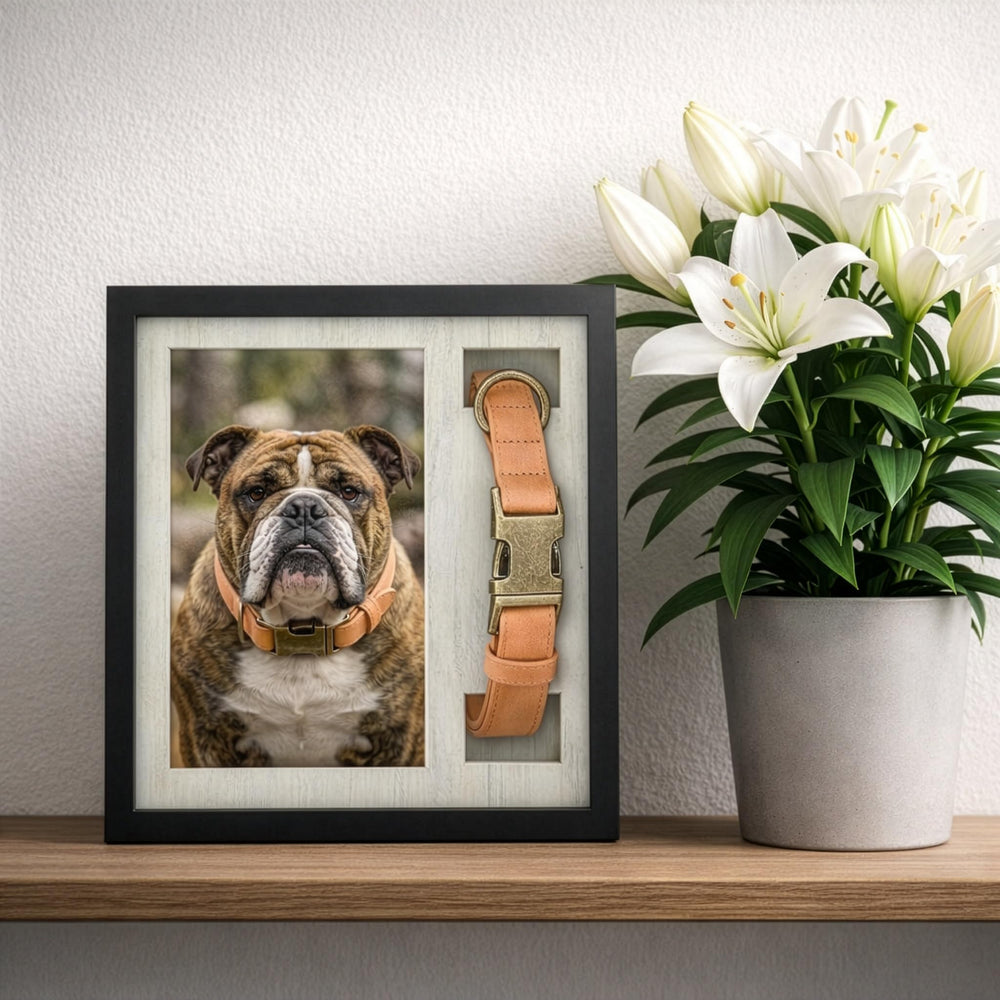 OtterPets agencement de plusieurs photos démontrant personnalisation facile et touchante