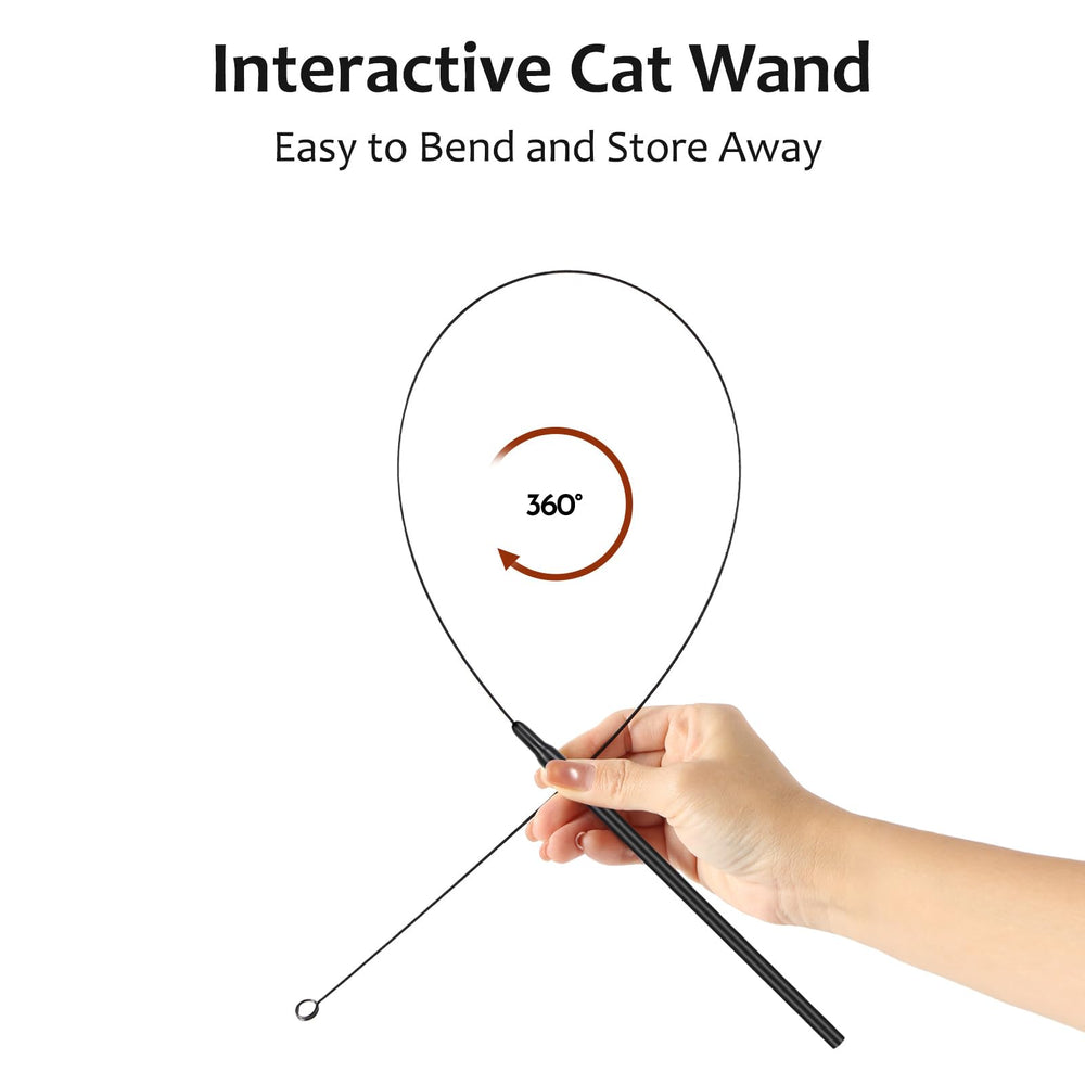 ottmat chat jouant avec la canne montrant activité et amusement