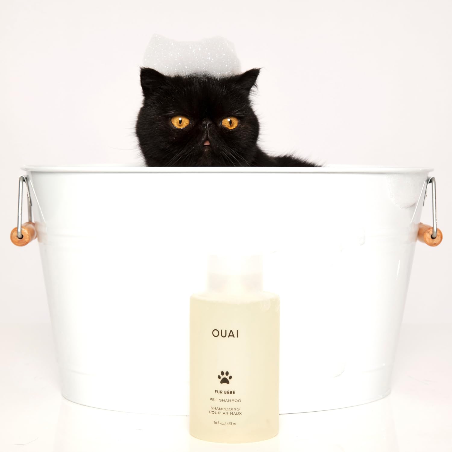 OUAI pelage brillant après shampoing montrant douceur et facilité de brossage