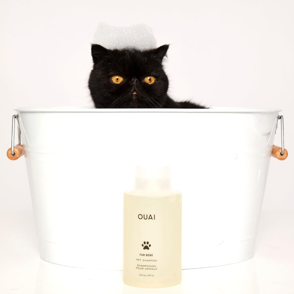 OUAI pelage brillant après shampoing montrant douceur et facilité de brossage