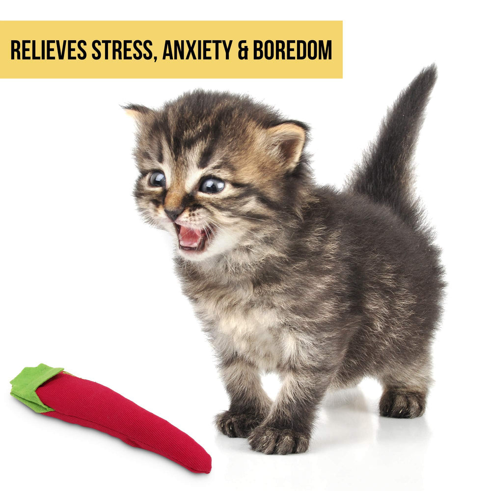 Our Pets Hot Stuff Chili chat jouant illustre stimulation et activité