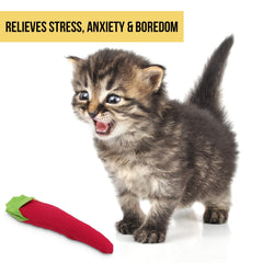 Our Pets Hot Stuff Chili chat jouant illustre stimulation et activité