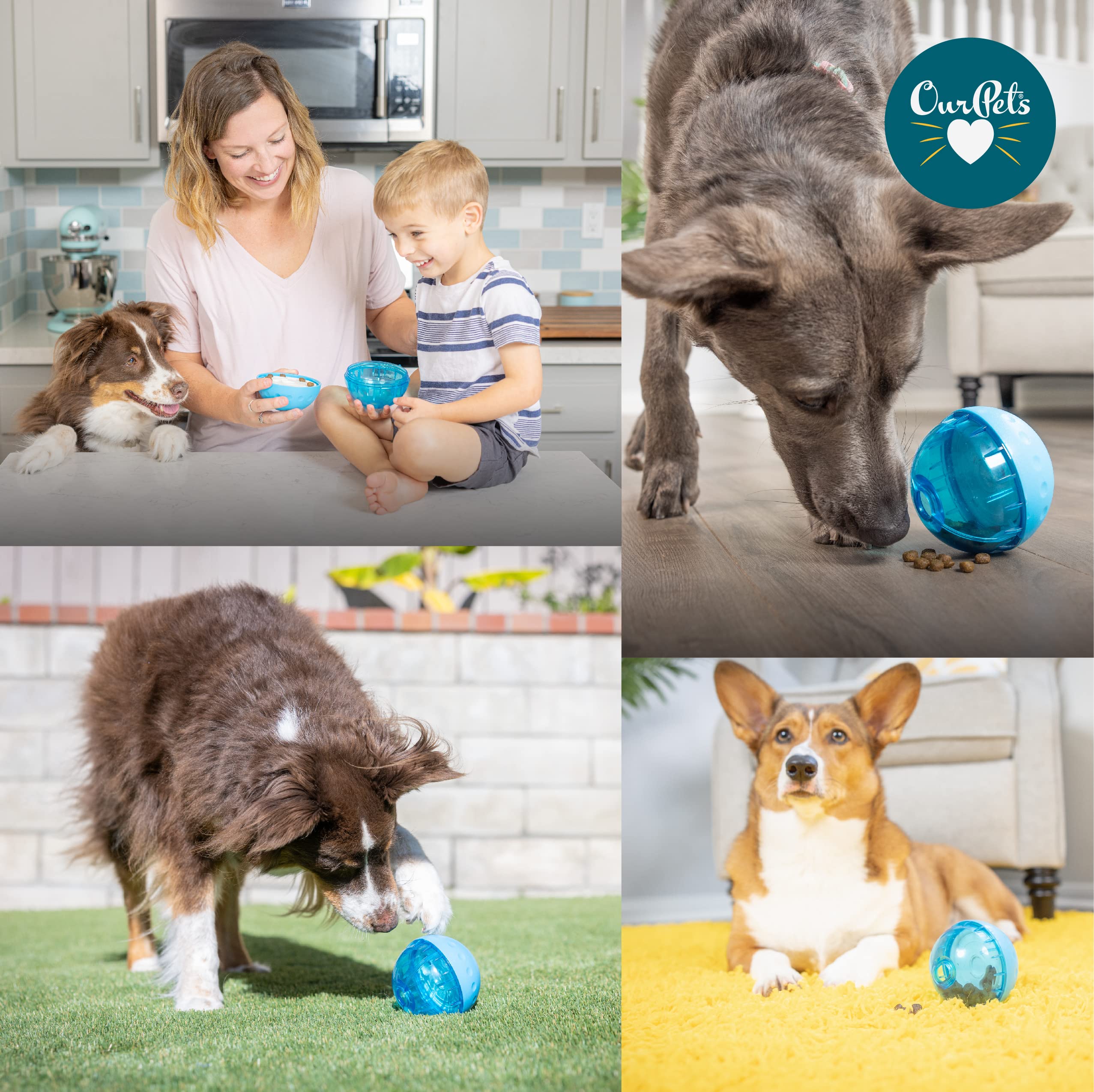 Our Pets mise en scène dans un salon, intégration au quotidien du chien