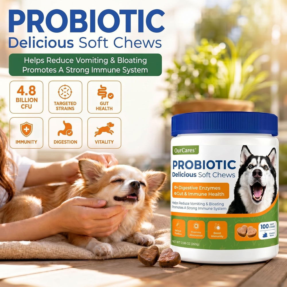 Chews OurCares dans la paume pour comparaison d'échelle et dosage adaptable