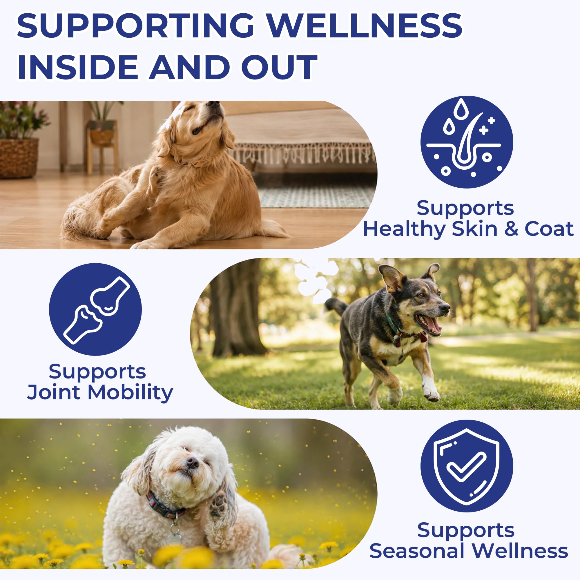 OurCares huile versée sur croquettes pour un mélange facile et appétent