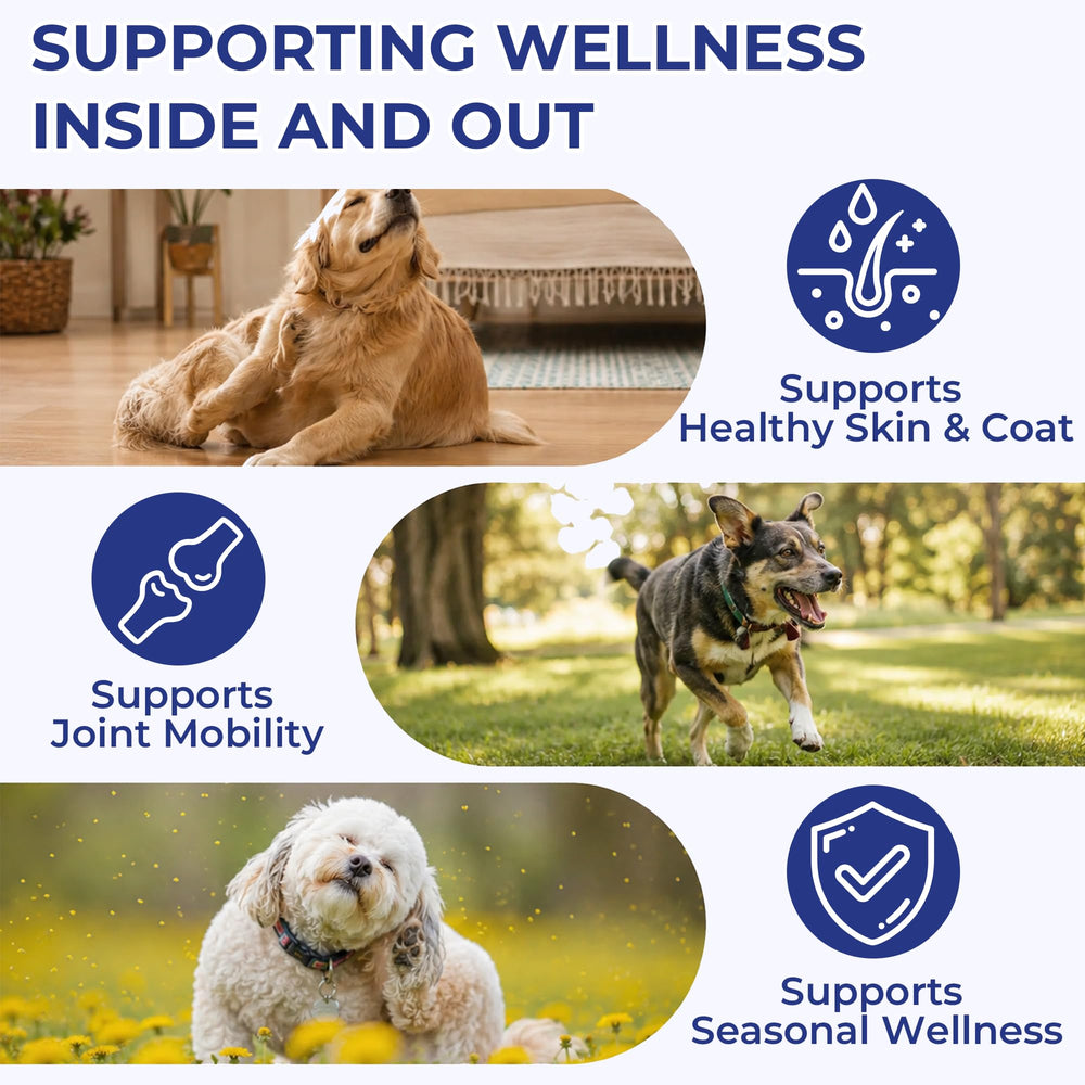 OurCares huile versée sur croquettes pour un mélange facile et appétent