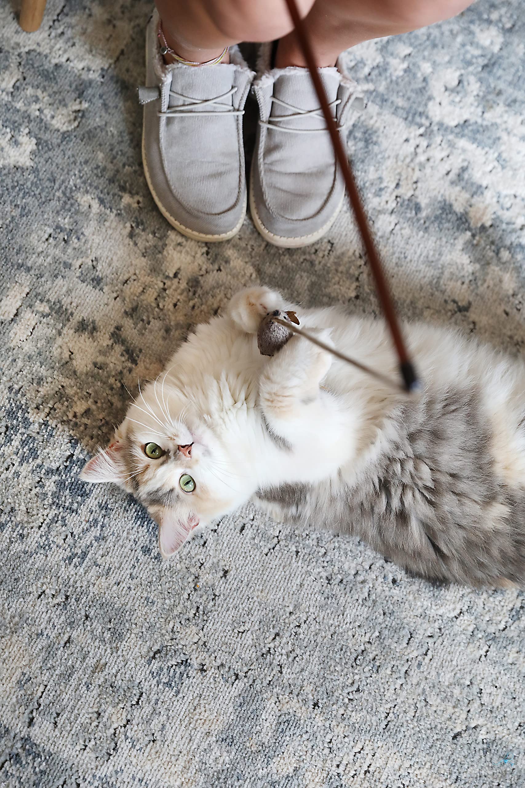 OurPets comparaison taille avec règle montrant dimensions pratiques et maniabilité