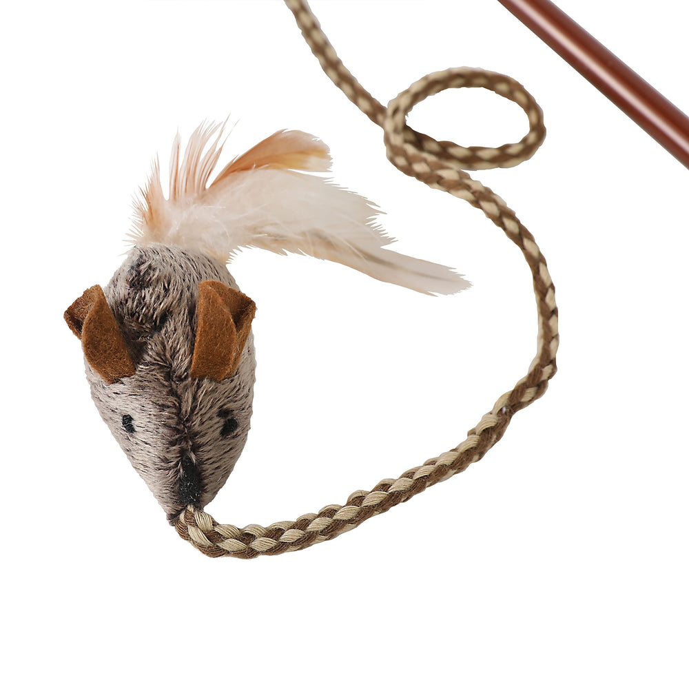 OurPets gros plan plumes mettant en valeur mouvement attractif pour chat