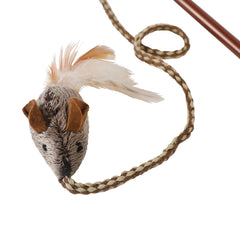 OurPets gros plan plumes mettant en valeur mouvement attractif pour chat