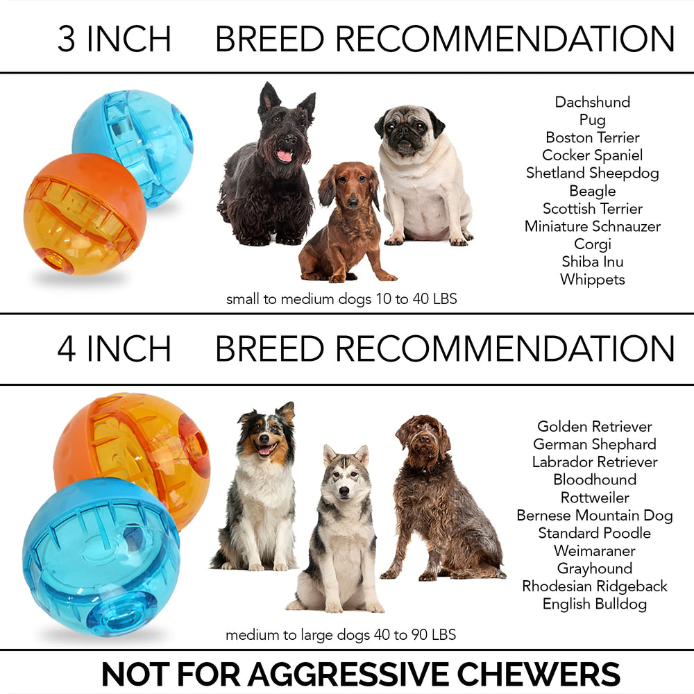 Our Pets balle en usage avec chien stimulant mental et physique