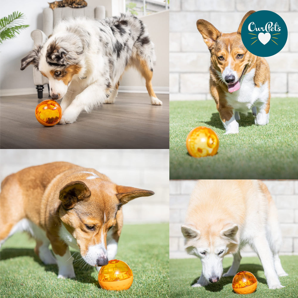 Our Pets balle remplie de croquettes pour repas plus lents et ludiques