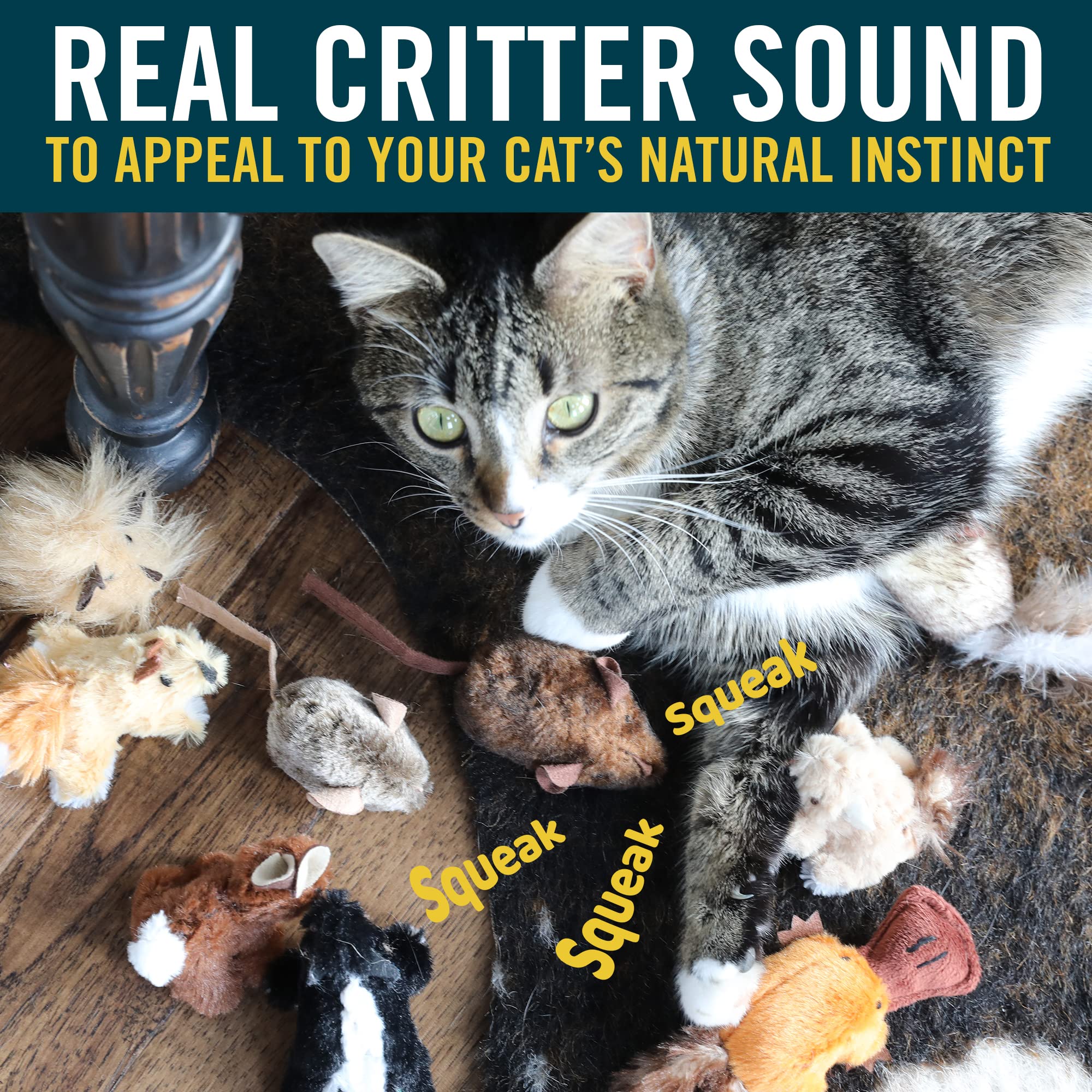 Our Pets chat en train de chasser le jouet illustrant exercice et amusement