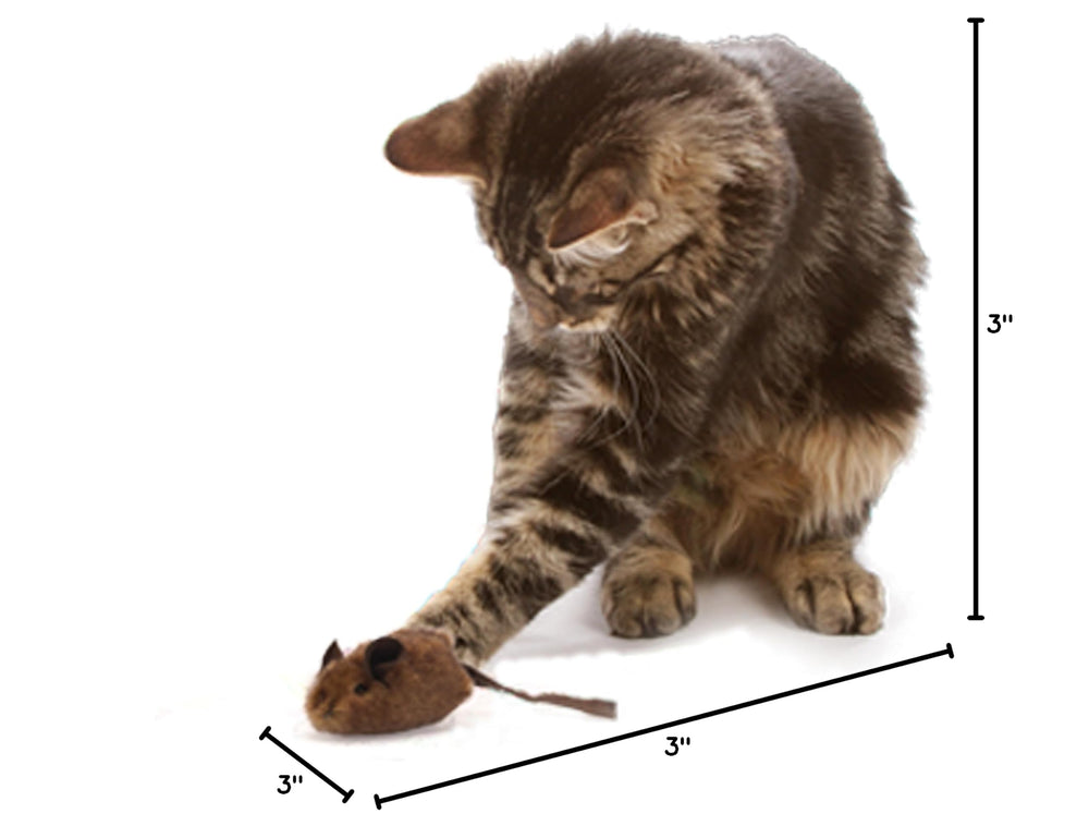 Our Pets emballage et étiquette montrant informations produit et sécurité