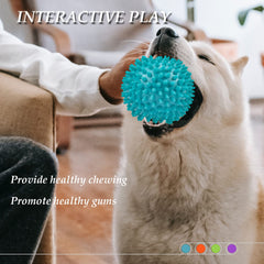 Ousiya chiens jouant avec la balle renforçant interaction et activité