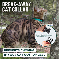 OutdoorBengal détail de la boucle breakaway pour une libération sûre