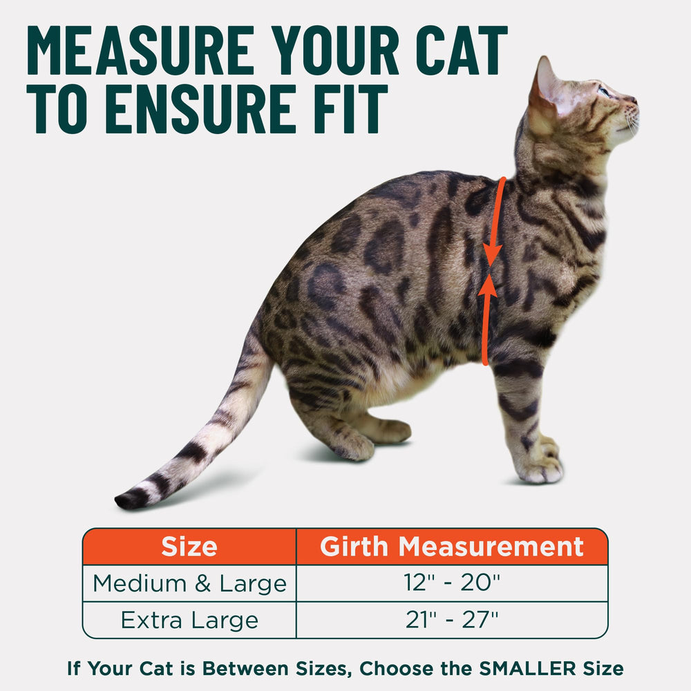 OutdoorBengal boucle martingale arrière prévenant les évasions