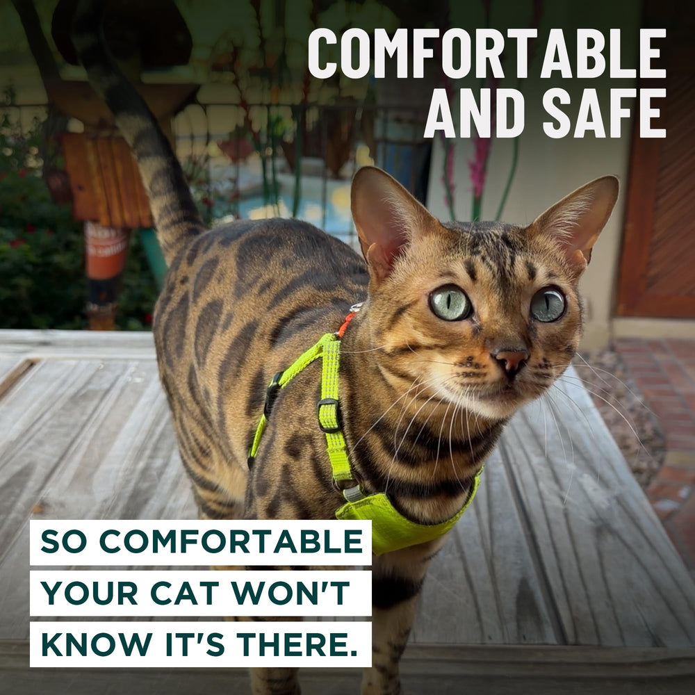 OutdoorBengal comparaison tailles montrant ajustement M/L