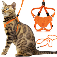 OutdoorBengal harnais avant packaging montrant sécurité et confort