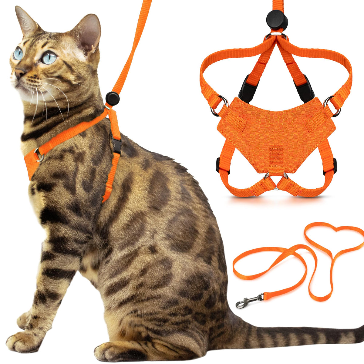 OutdoorBengal harnais avant porté montrant maintien et confort