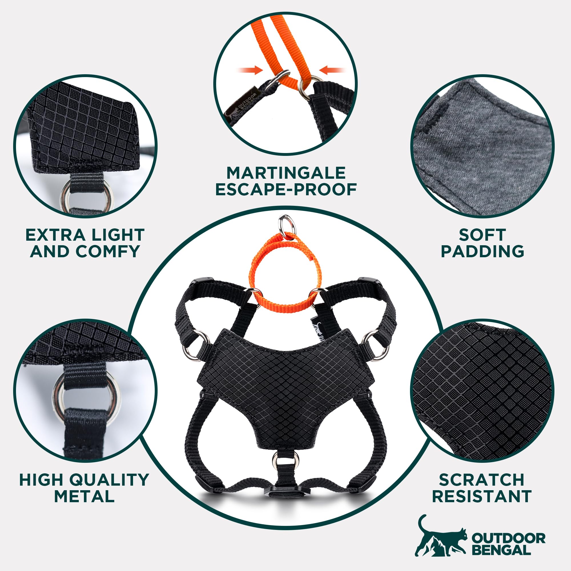 OutdoorBengal harnais avec laisse incluse prêt à lusage