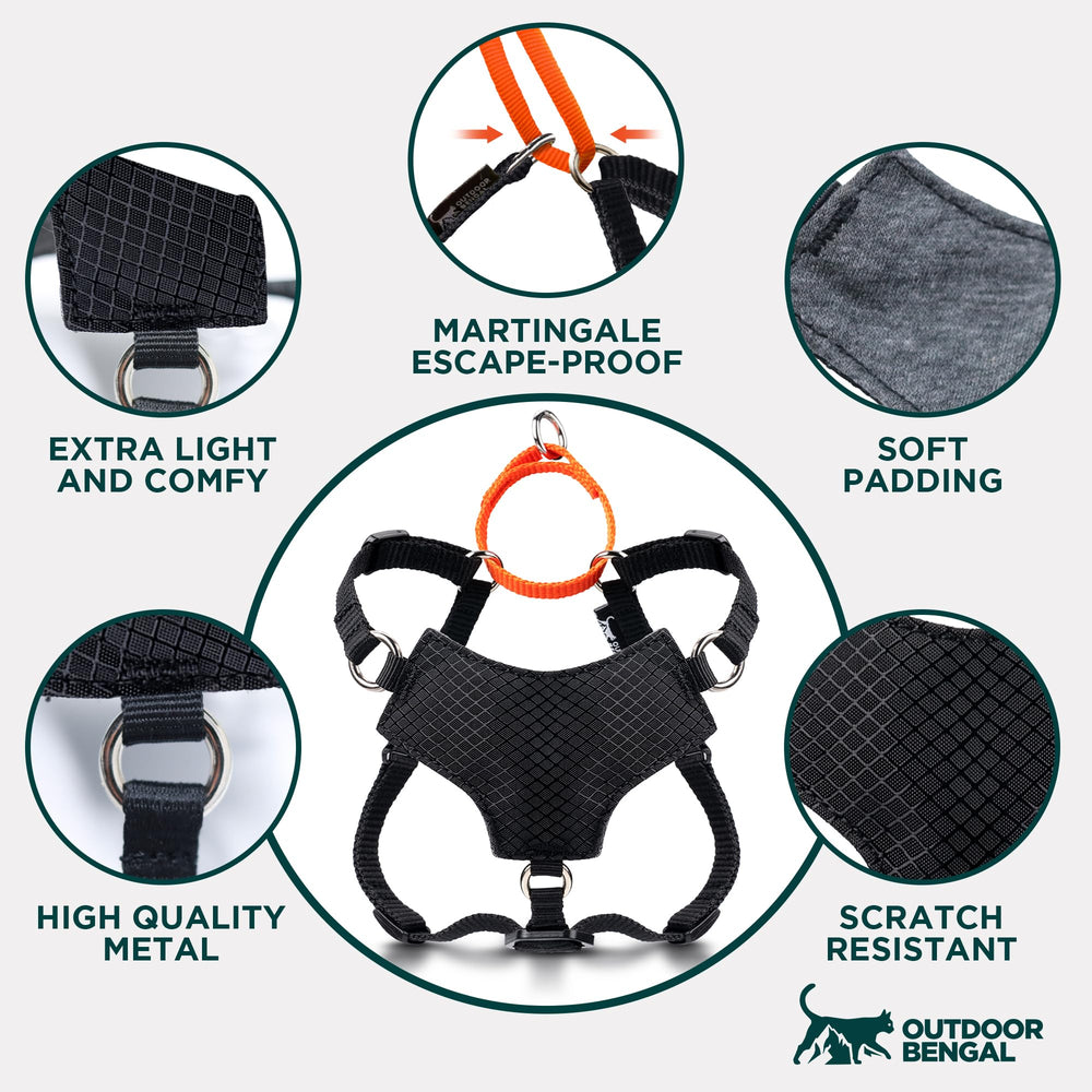 OutdoorBengal harnais avec laisse incluse prêt à lusage