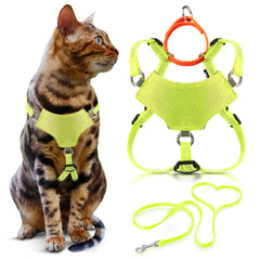 OutdoorBengal harnais face avant montrant ajustement sûr et design réfléchi