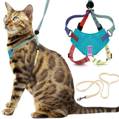 OutdoorBengal harnais multicolor vue de face montrant maintien sûr