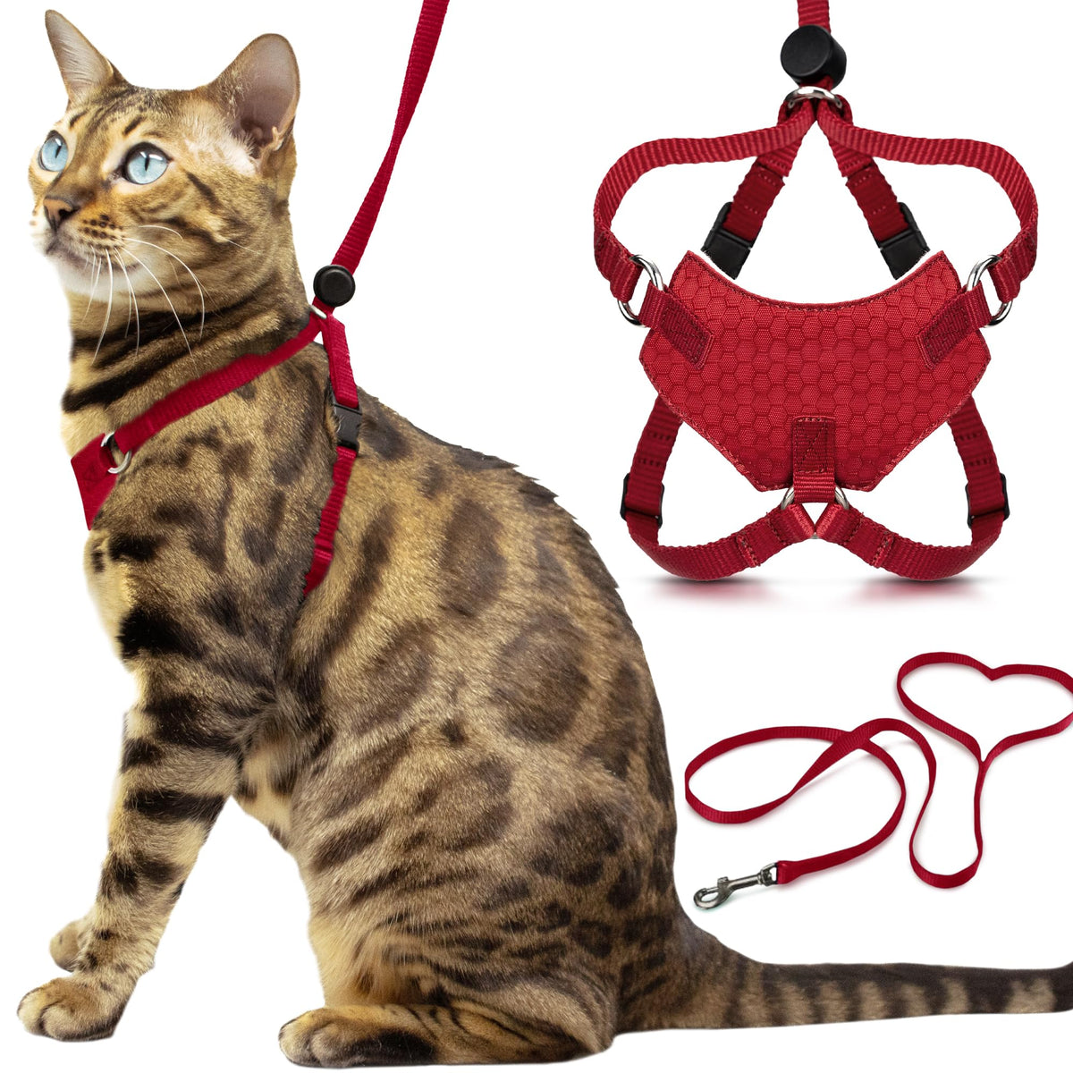 OutdoorBengal harnais devant packaging montrant sécurité et style
