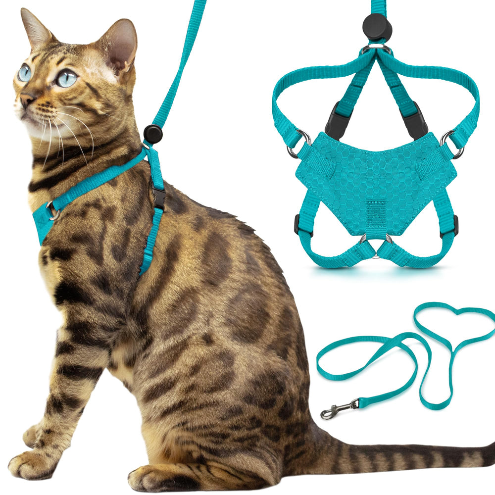 OutdoorBengal harnais face avant montrant maintien sécurisé