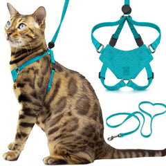 OutdoorBengal harnais face avant montrant maintien sécurisé