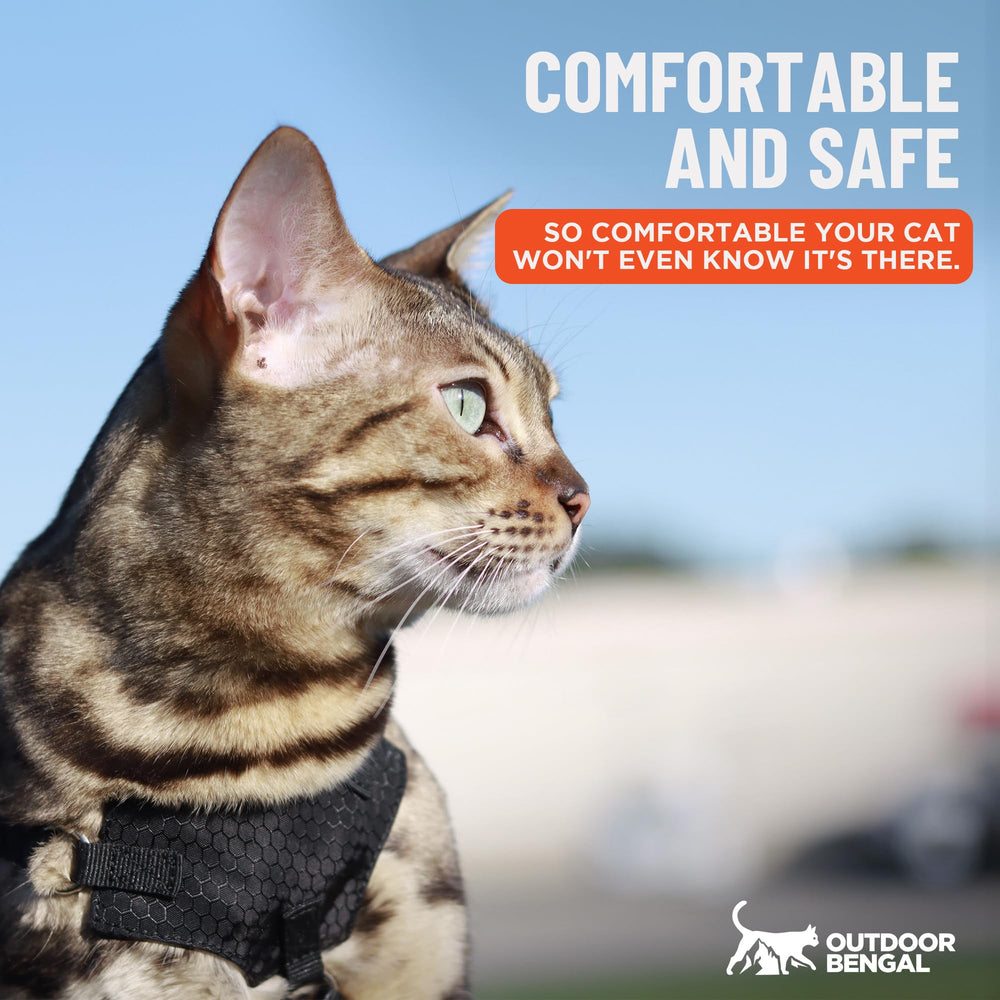 OutdoorBengal boucles réglables pour ajustement rapide et sûr