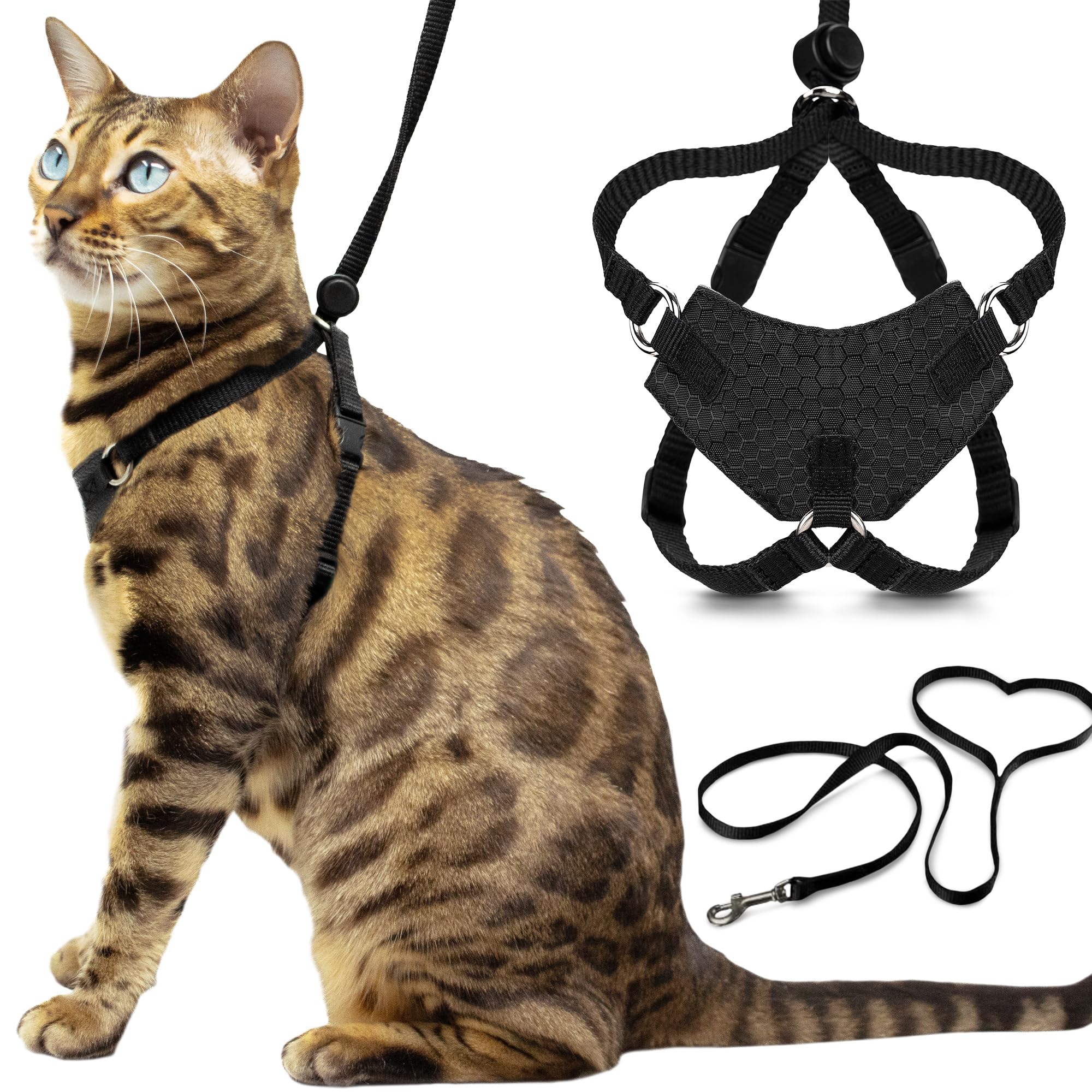 OutdoorBengal harnais face avant montrant maintien sûr et style