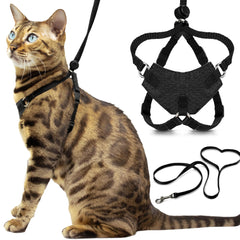 OutdoorBengal harnais face avant montrant maintien sûr et style