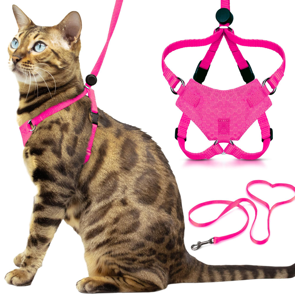 OutdoorBengal harnais packaging avant montrant l'ensemble et sécurité